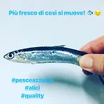 Il Cavaliere * Manocalzati