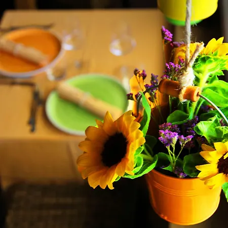 Il Cavaliere Manocalzati