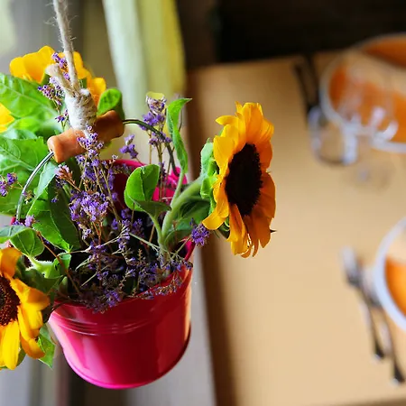 Vakantieboerderij Il Cavaliere *