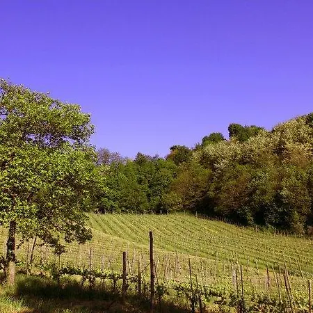 Il Cavaliere Manocalzati