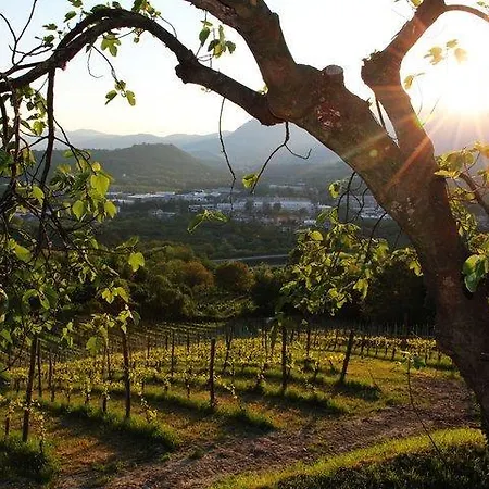 Vakantieboerderij Il Cavaliere *