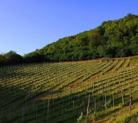 Vakantieboerderij Il Cavaliere