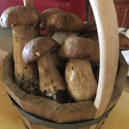 Il Cavaliere Manocalzati