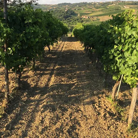 Il Cavaliere Vakantieboerderij