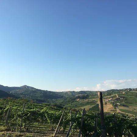 Il Cavaliere
