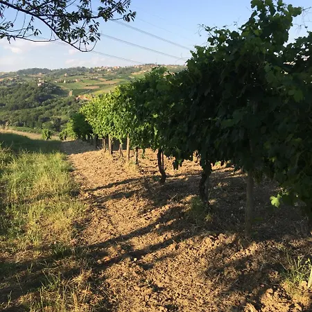 Il Cavaliere * Manocalzati