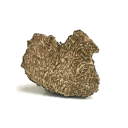 Il Cavaliere Manocalzati