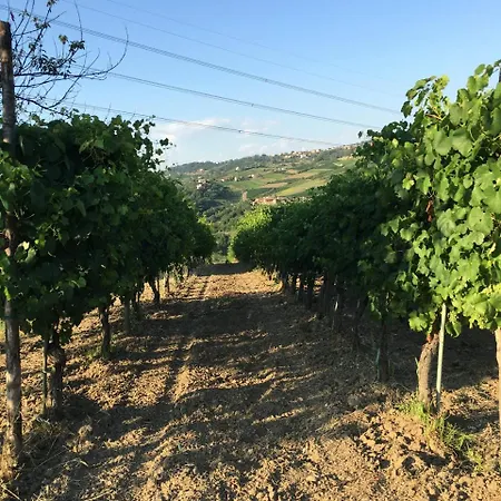 Vakantieboerderij Il Cavaliere *