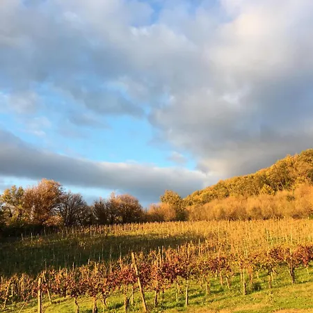 Il Cavaliere Vakantieboerderij *